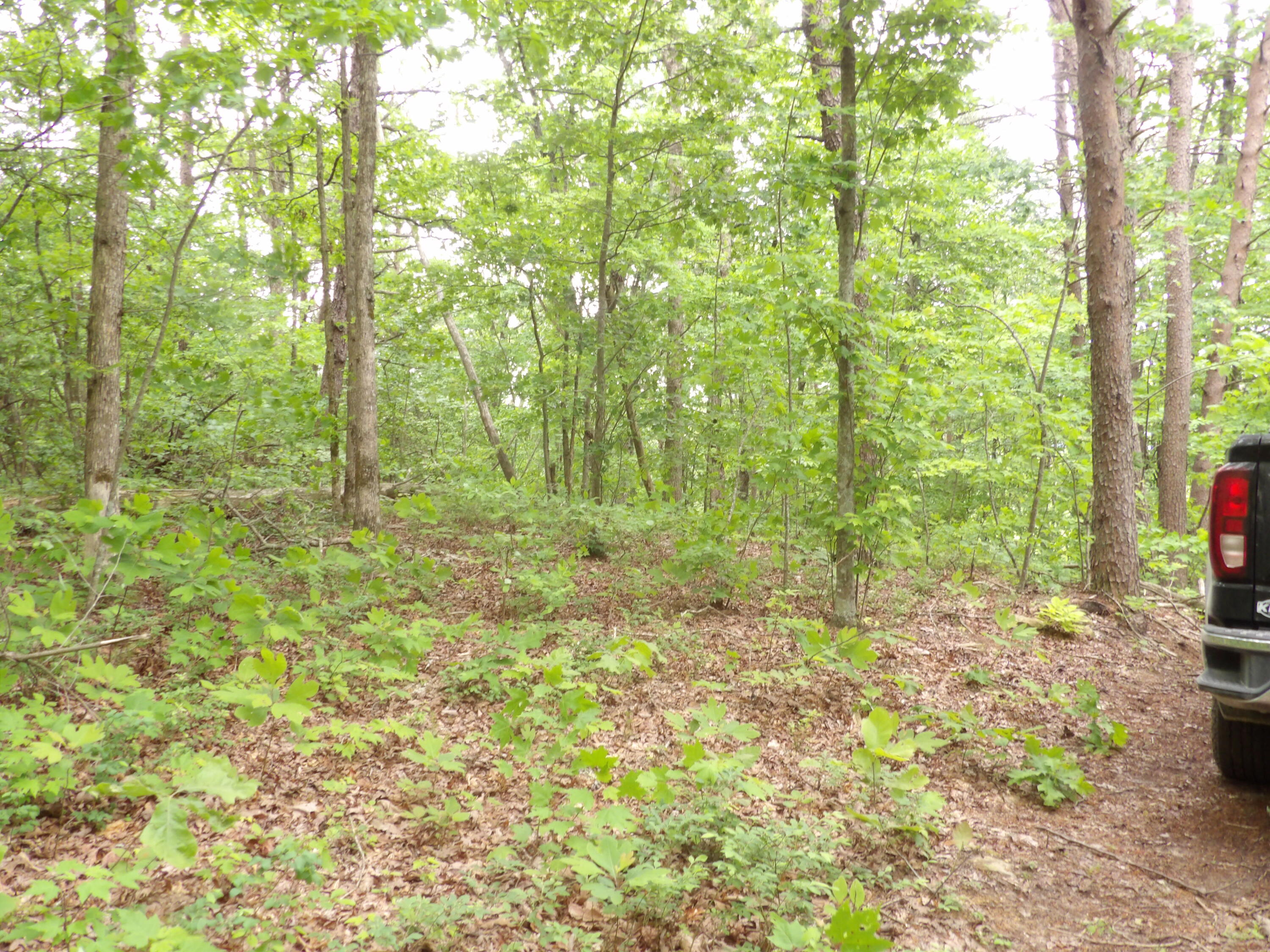 0 Overview Road Crossville, TN 38572 - Photo 40 of 45 100_0587