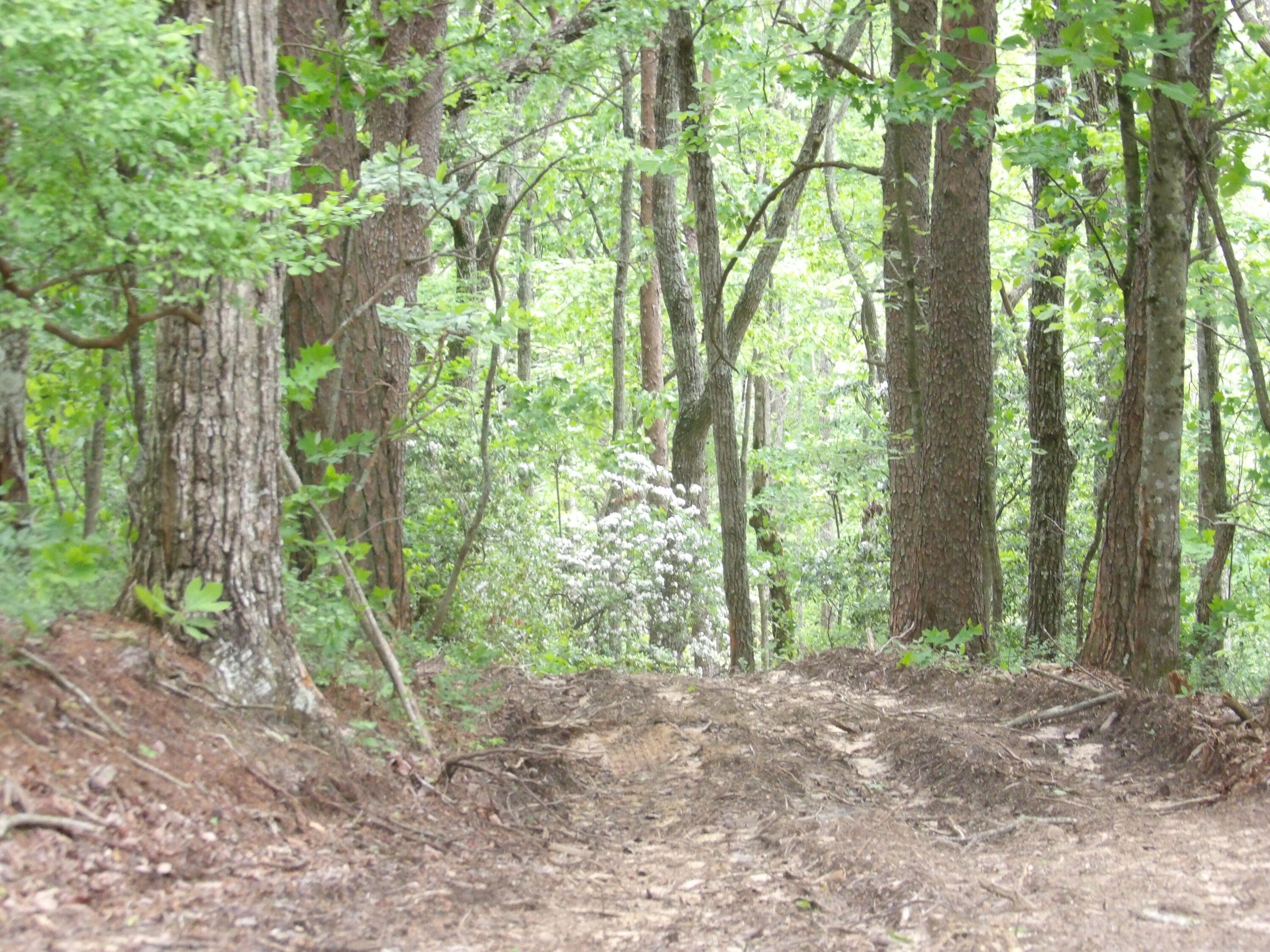 0 Overview Road Crossville, TN 38572 - Photo 41 of 45 100_0588
