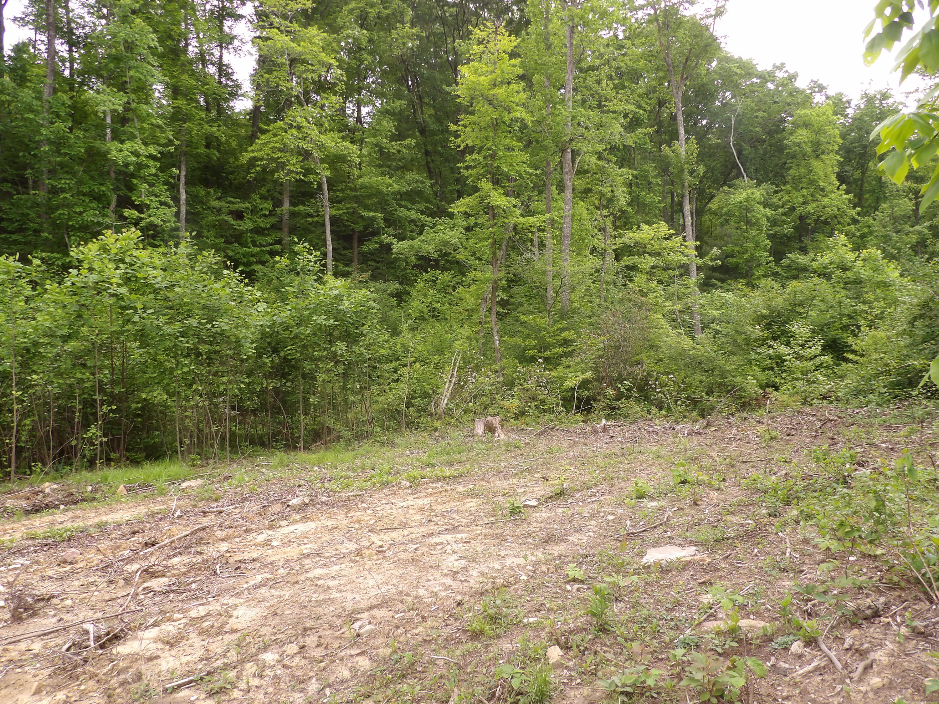 0 Overview Road Crossville, TN 38572 - Photo 42 of 45 100_0589
