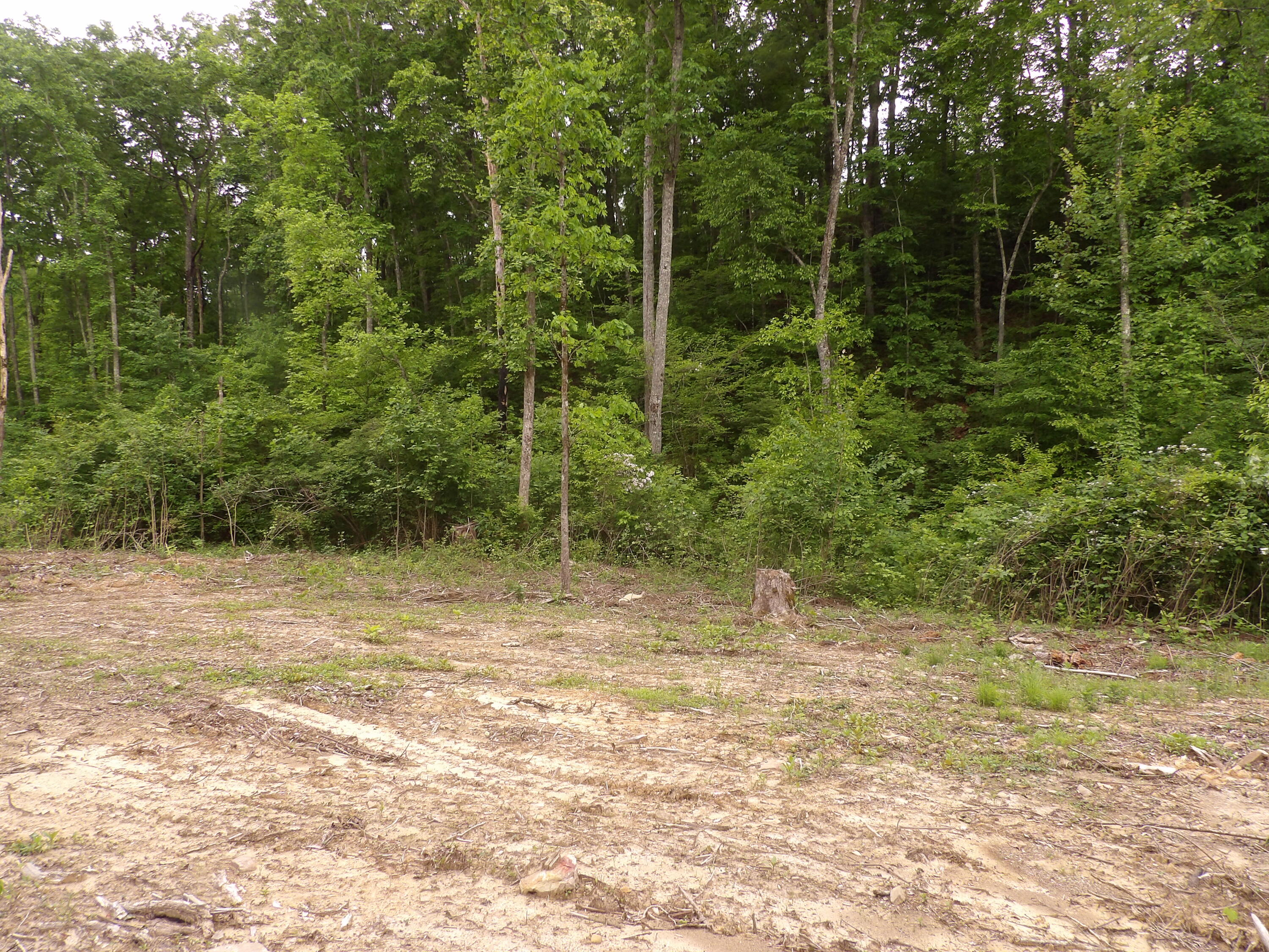 0 Overview Road Crossville, TN 38572 - Photo 43 of 45 100_0590