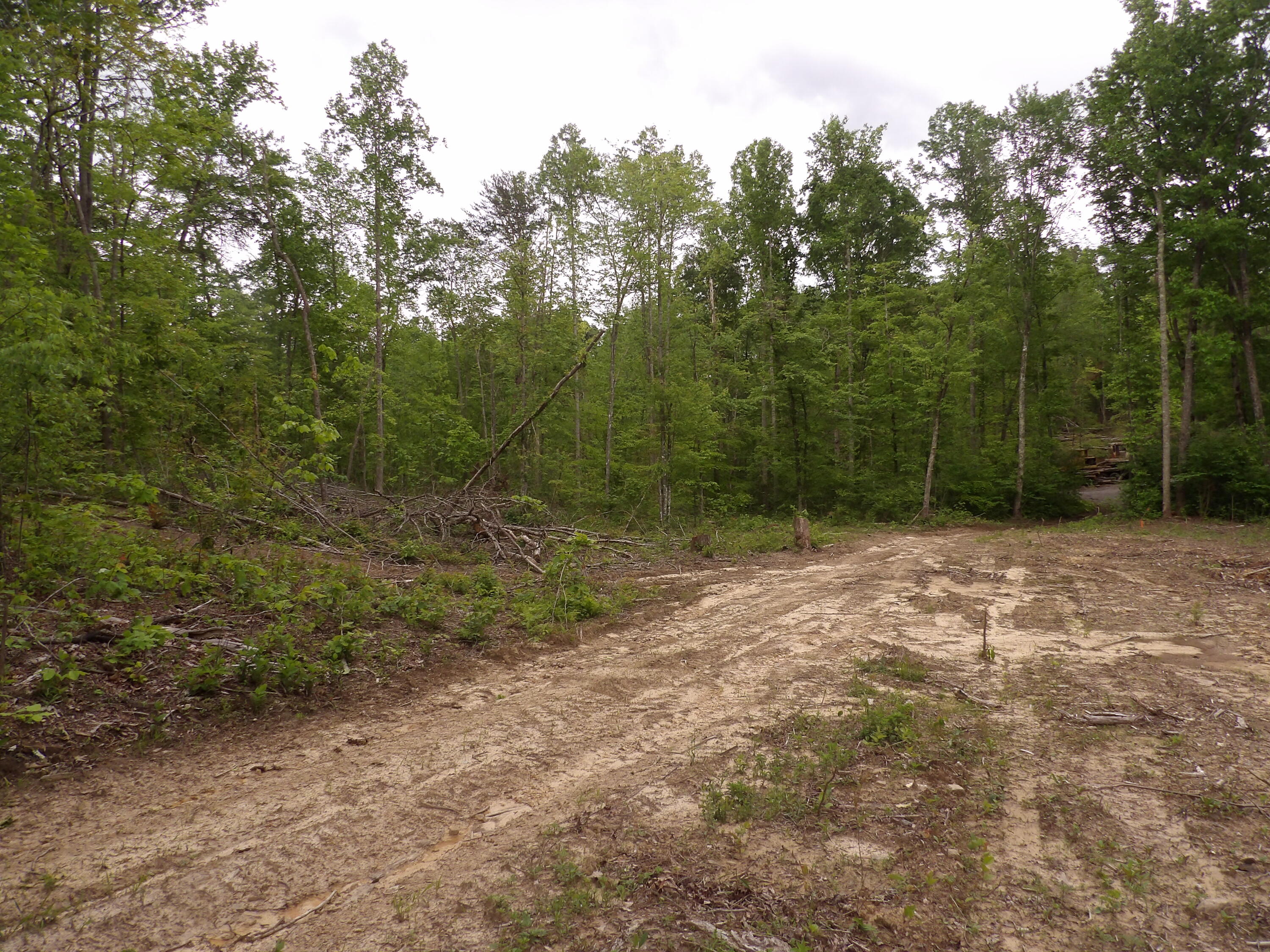 0 Overview Road Crossville, TN 38572 - Photo 44 of 45 100_0591