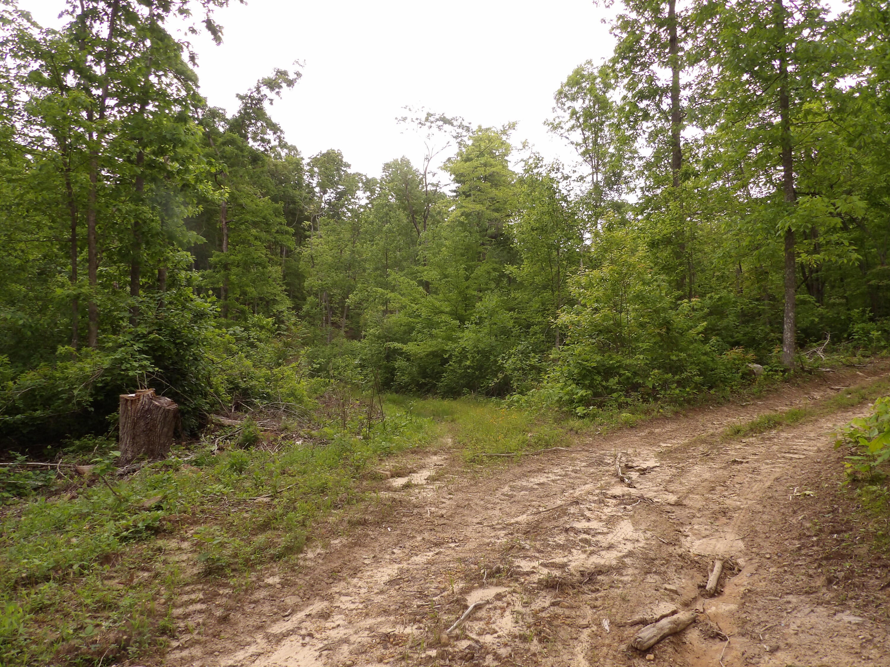 0 Overview Road Crossville, TN 38572 - Photo 45 of 45 100_0592