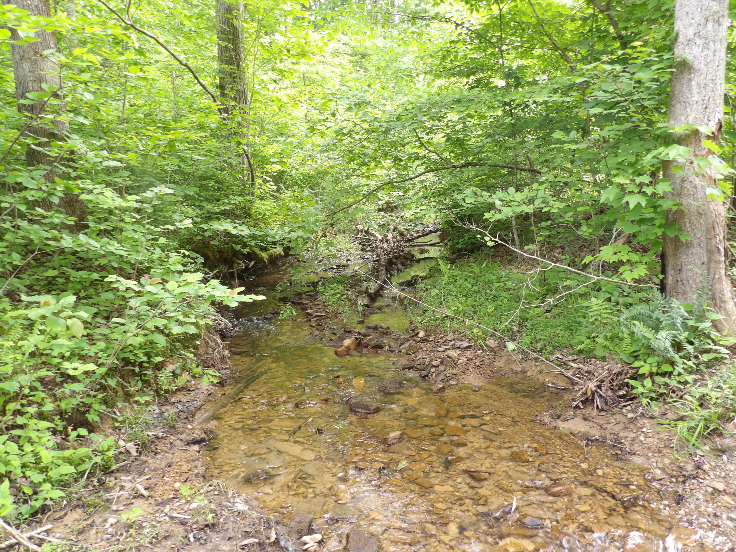 0 Overview Road Crossville, TN 38572 - Photo 8 of 45 100_0552