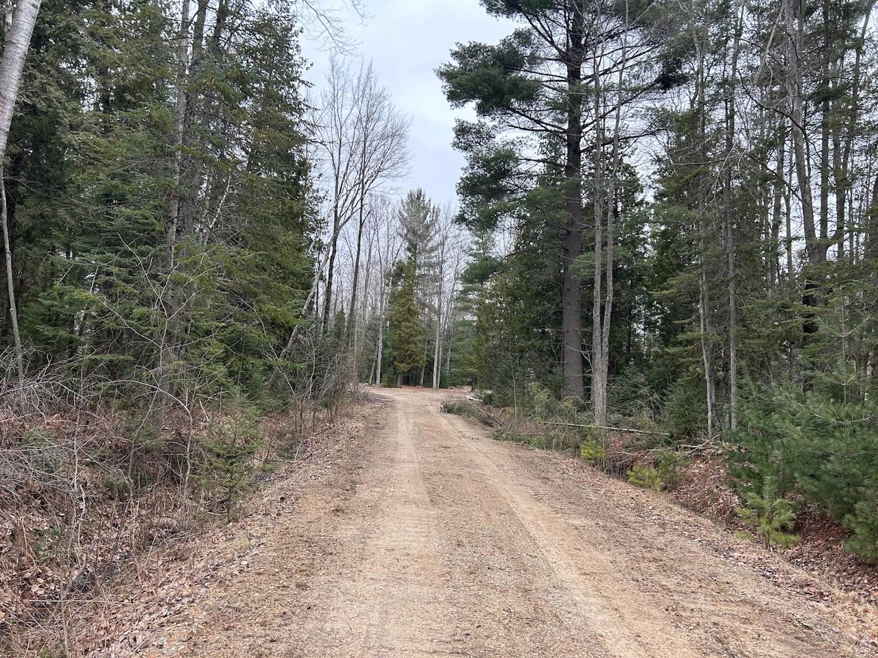 19.2 Acres W M61 Road Gladwin, MI 48624 - Photo 17 of 17