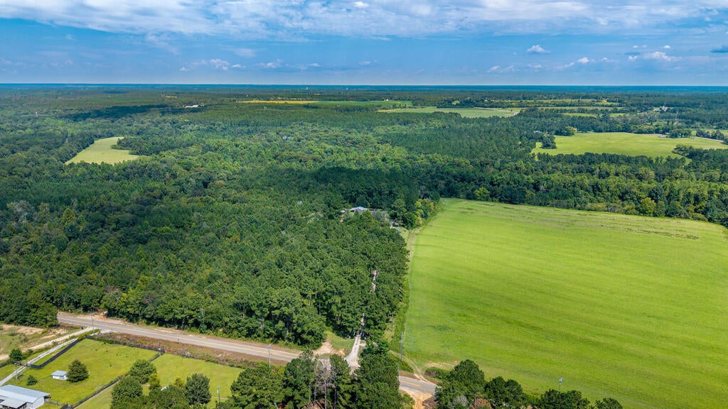 696 Benton Store Road Columbia, AL 36319 - Photo 51 of 58 Gallery Image 51