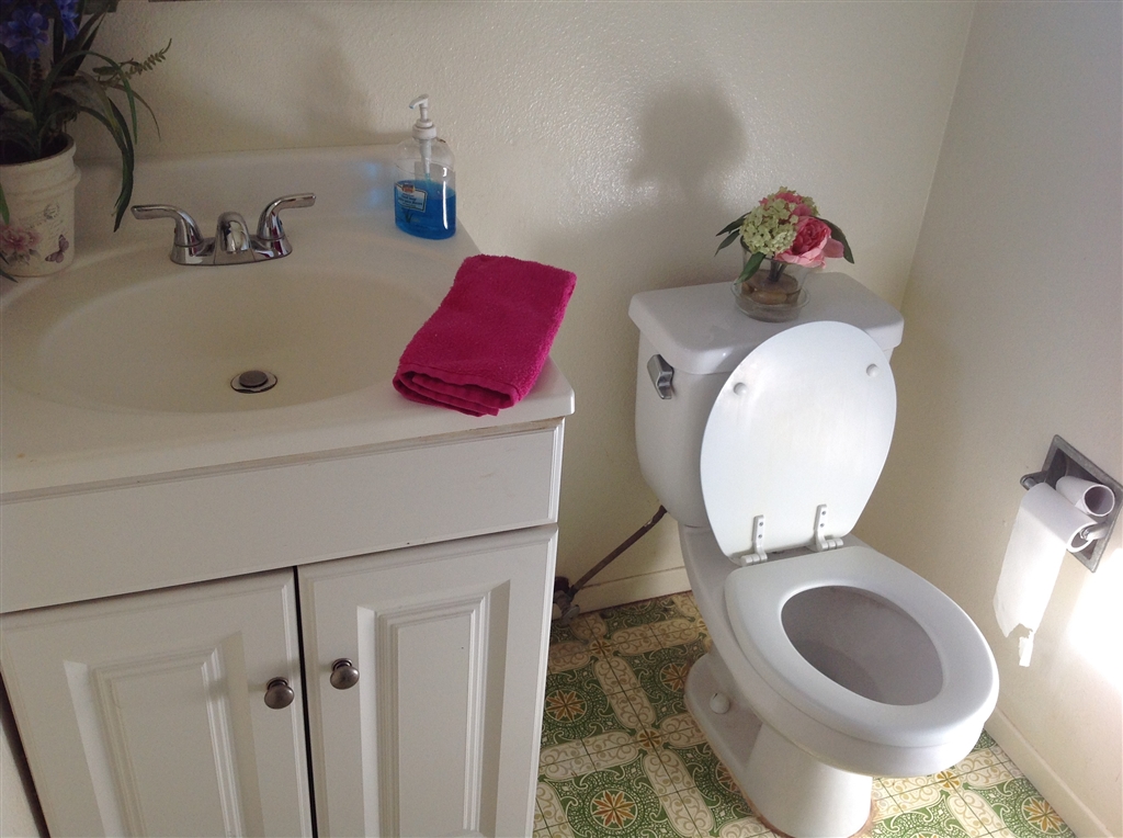 7341 West Lilac Road Bonsall, CA 92003 - Photo 16 of 25