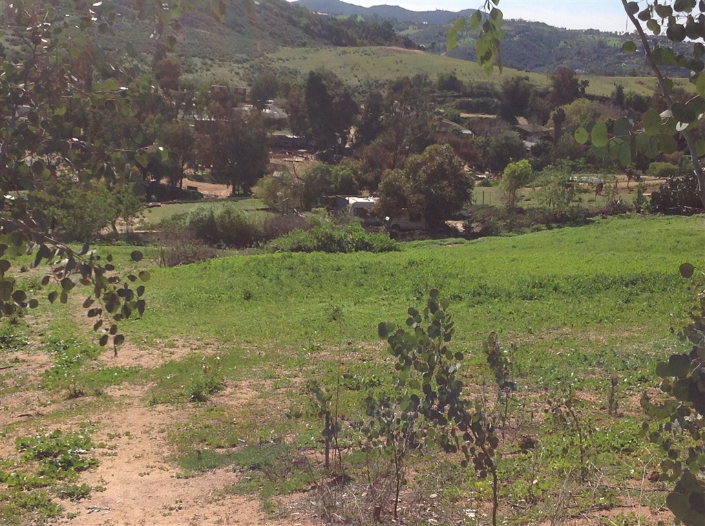 7341 West Lilac Road Bonsall, CA 92003 - Photo 23 of 25