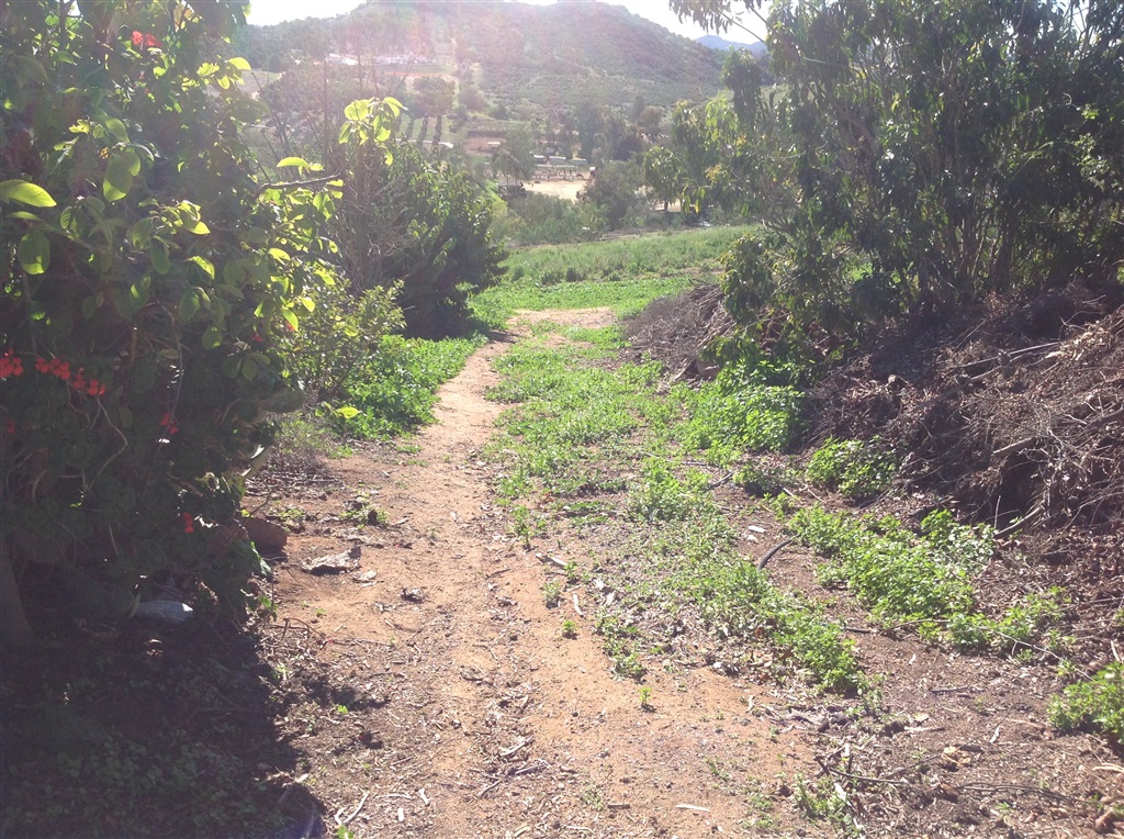 7341 West Lilac Road Bonsall, CA 92003 - Photo 24 of 25