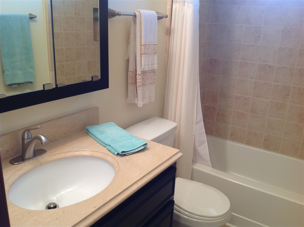 7341 West Lilac Road Bonsall, CA 92003 - Photo 10 of 25