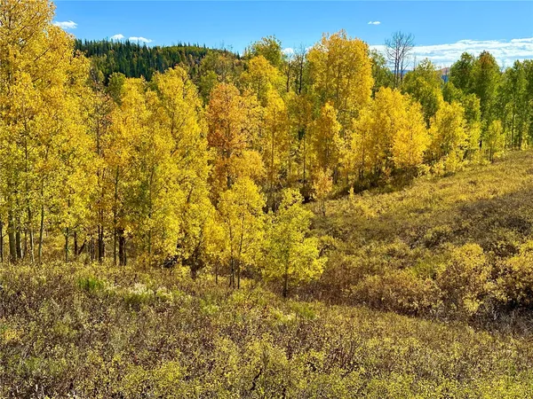 $89,000 | 26925 Beaver Canyon Drive, Clark, CO 80428
