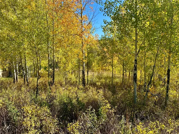 $89,000 | 26925 Beaver Canyon Drive, Clark, CO 80428