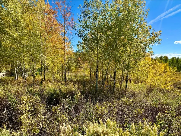 $89,000 | 26925 Beaver Canyon Drive, Clark, CO 80428