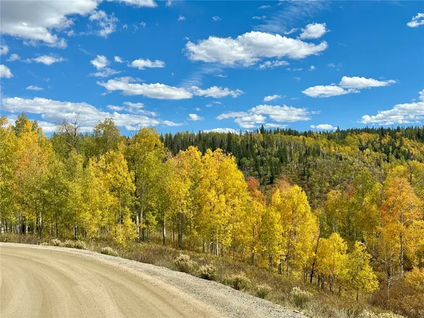 $89,000 | 26925 Beaver Canyon Drive, Clark, CO 80428
