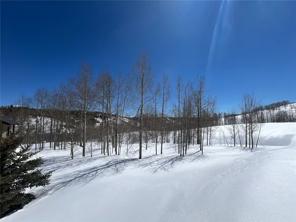 $89,000 | 26925 Beaver Canyon Drive, Clark, CO 80428