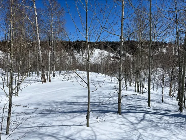 $89,000 | 26925 Beaver Canyon Drive, Clark, CO 80428