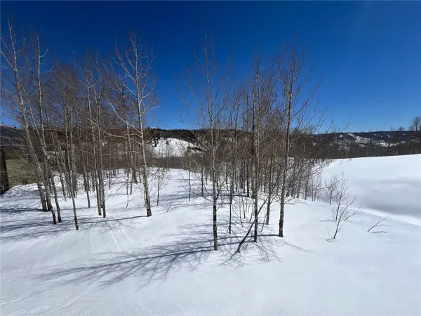 $89,000 | 26925 Beaver Canyon Drive, Clark, CO 80428