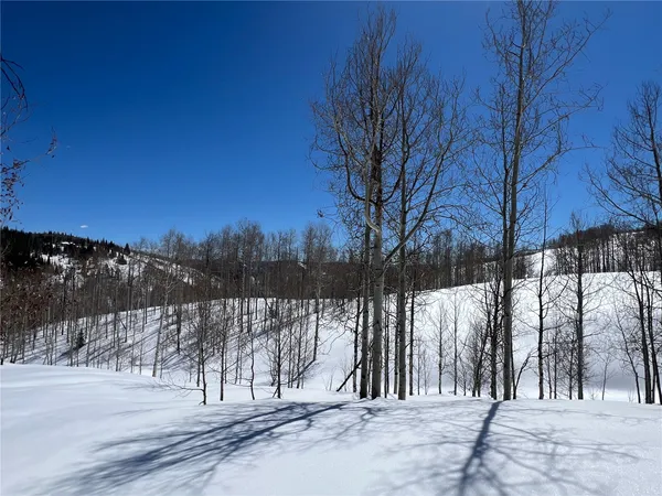 $89,000 | 26925 Beaver Canyon Drive, Clark, CO 80428