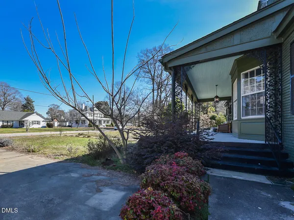 a living room with furniture a rug and a potted plant