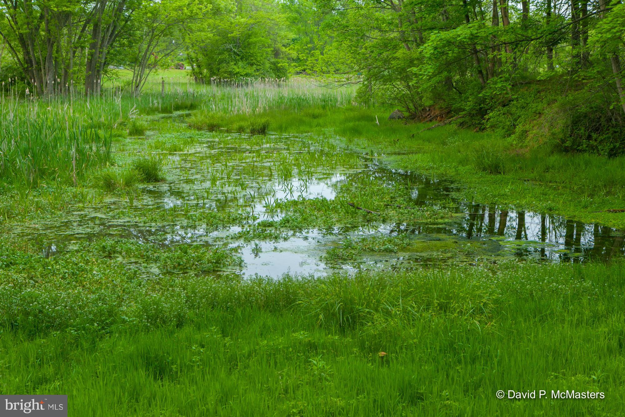 3735 Summit Point Road Charles Town, WV 25414 - Photo 22 of 27 Wonderful pond. Water cress galore.
