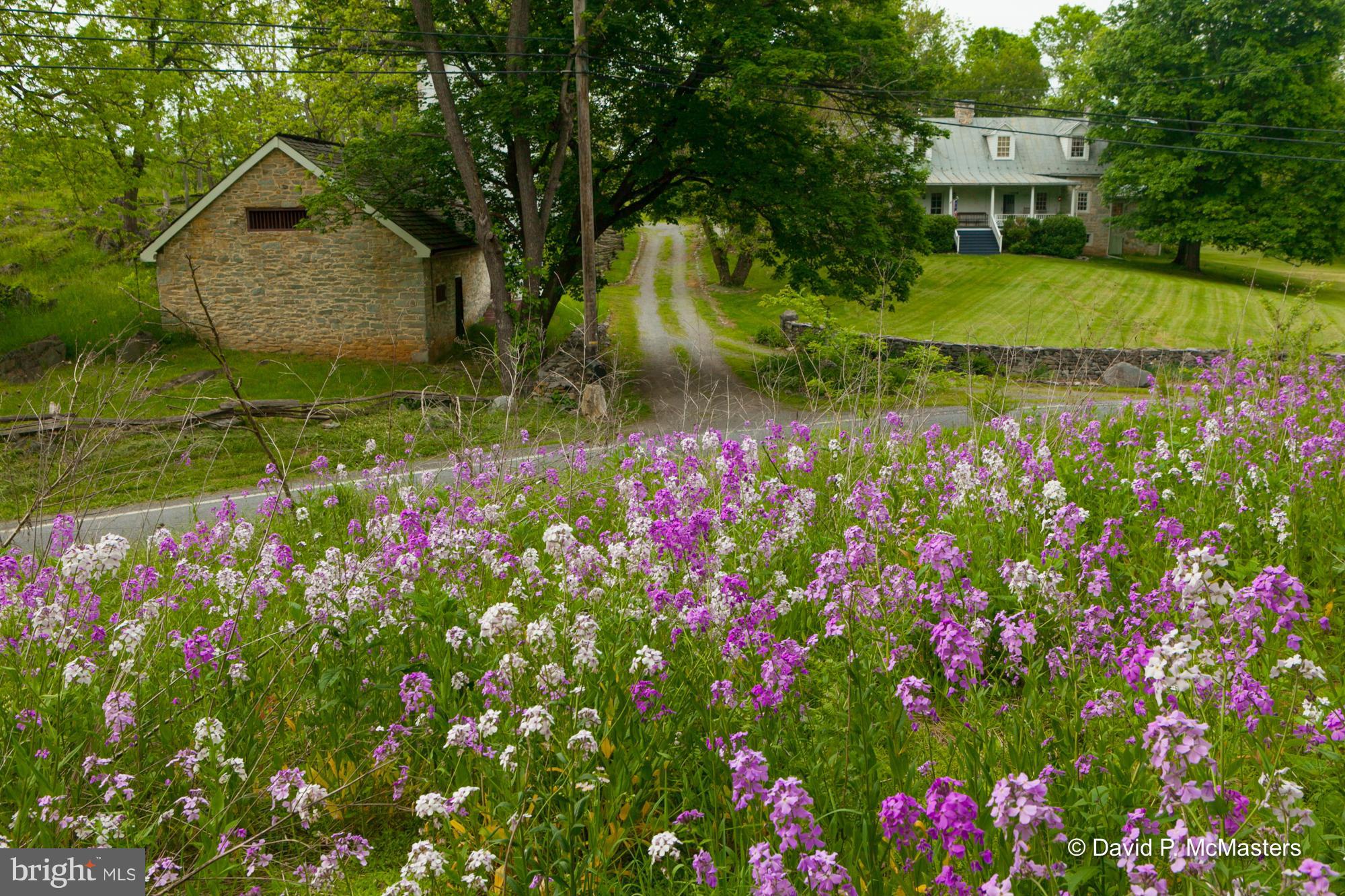 3735 Summit Point Road Charles Town, WV 25414 - Photo 23 of 27 Enchanting setting.