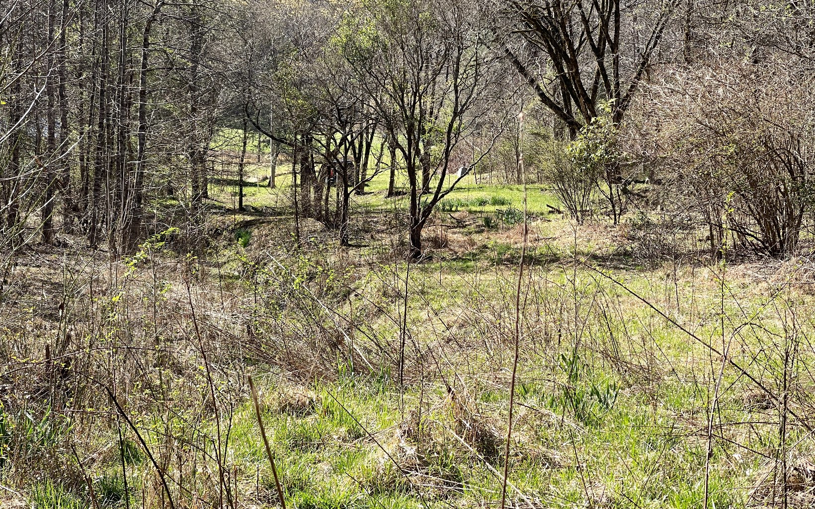 575 Caldwell Road Brasstown, NC 28902 - Photo 38 of 43 Additional View