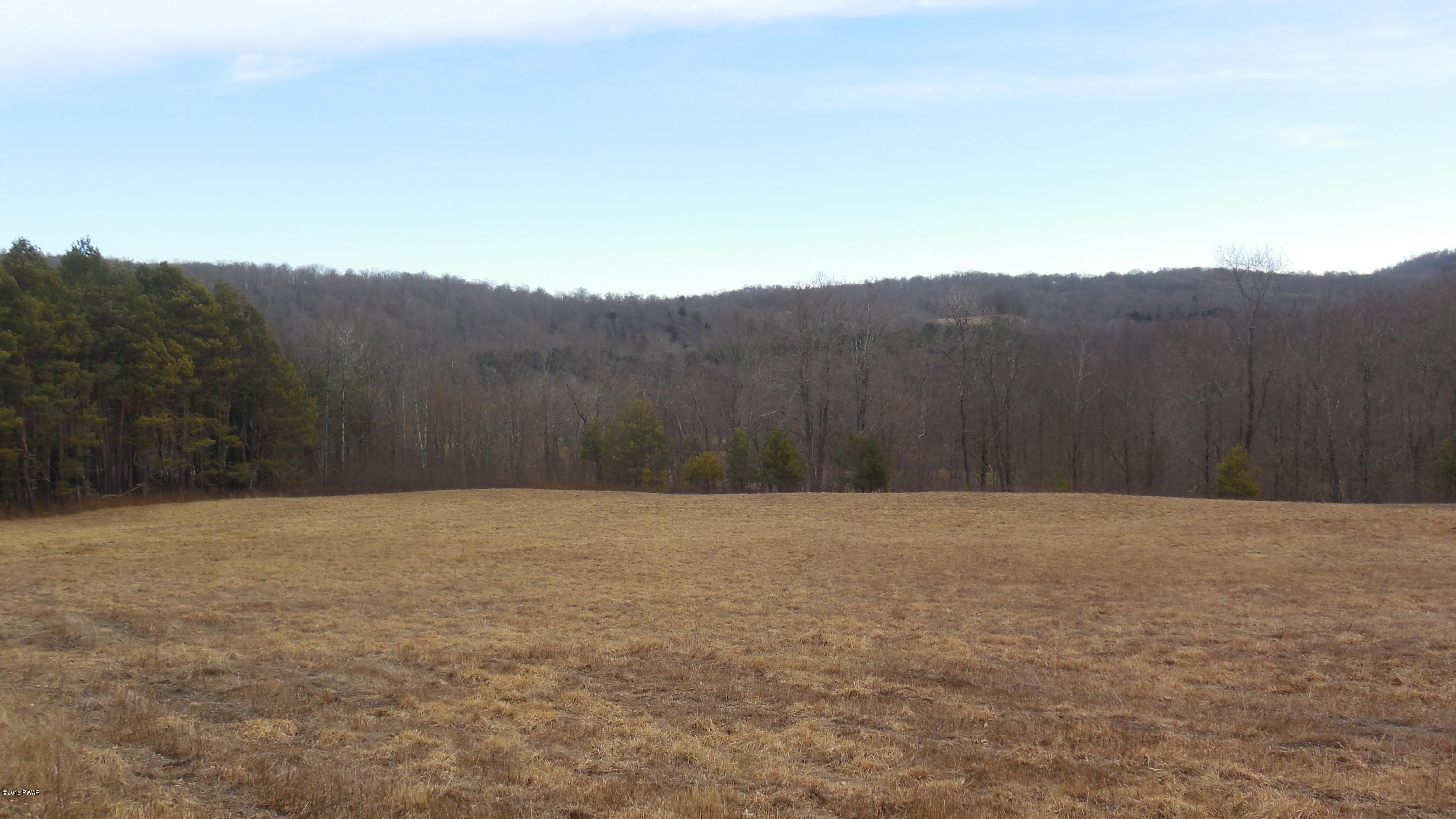 352 Hellmers Hill Road Equinunk, PA 18417 - Photo 4 of 34