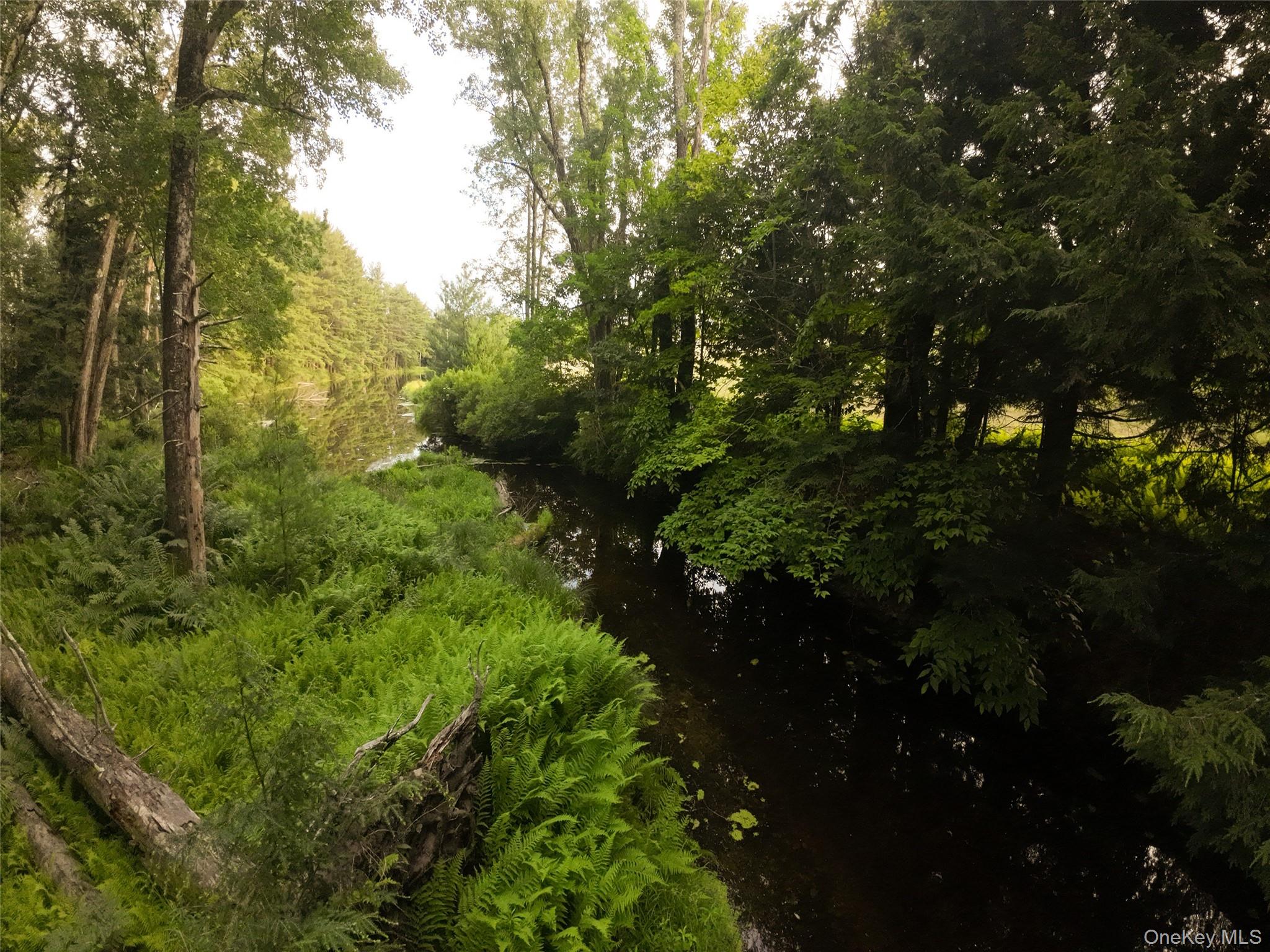 49 Crumley Van Vactor Road Ferndale, NY 12734 - Photo 11 of 50