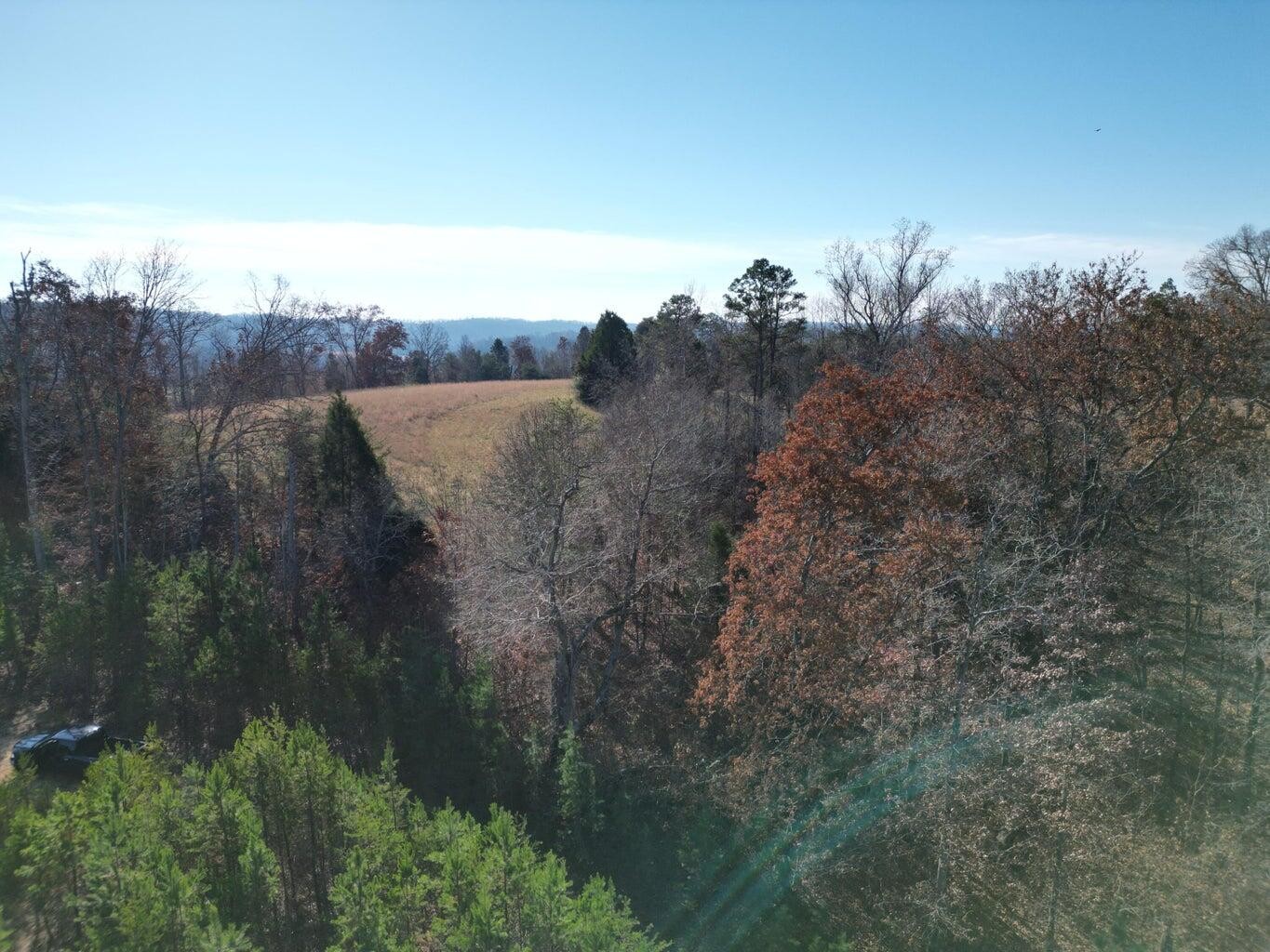 27532 Rhea County Highway Spring City, TN 37381 - Photo 16 of 17 Gallery Image 16