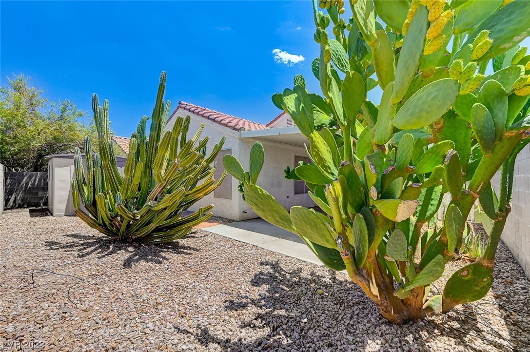 728 Rising Brook Drive Henderson, NV 89011 - Photo 29 of 41 Gallery Image 29
