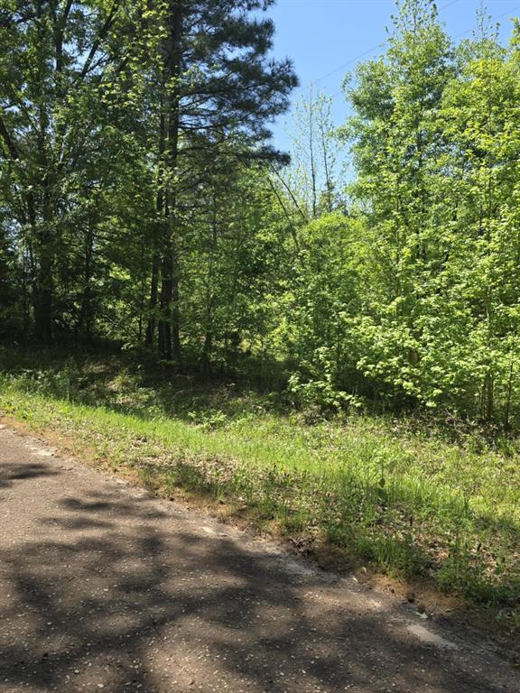 421 County Road 421 Tyler, TX 75704 - Photo 3 of 11
