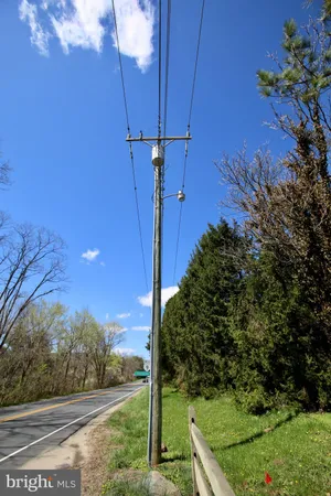 a city view with large trees