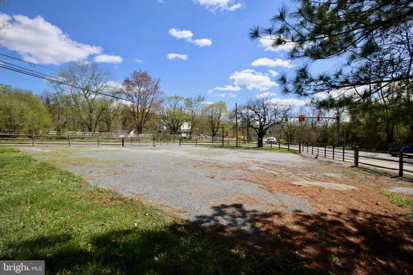 a view of a tree in a yard
