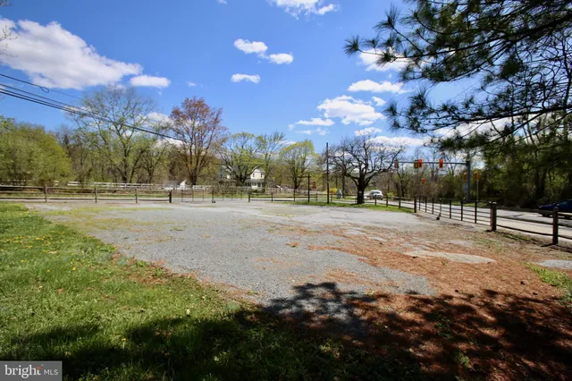 a view of a tree in a yard