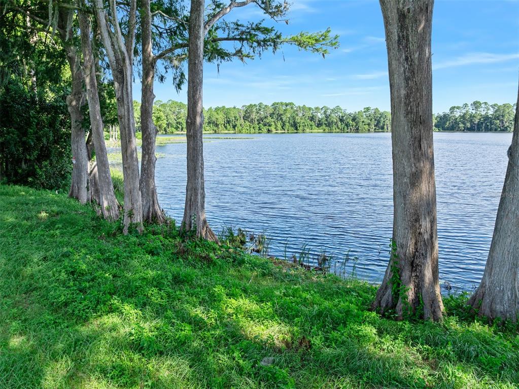 Blackburn Road Pierson, FL 32180 - Photo 7 of 14 Gallery Image 7