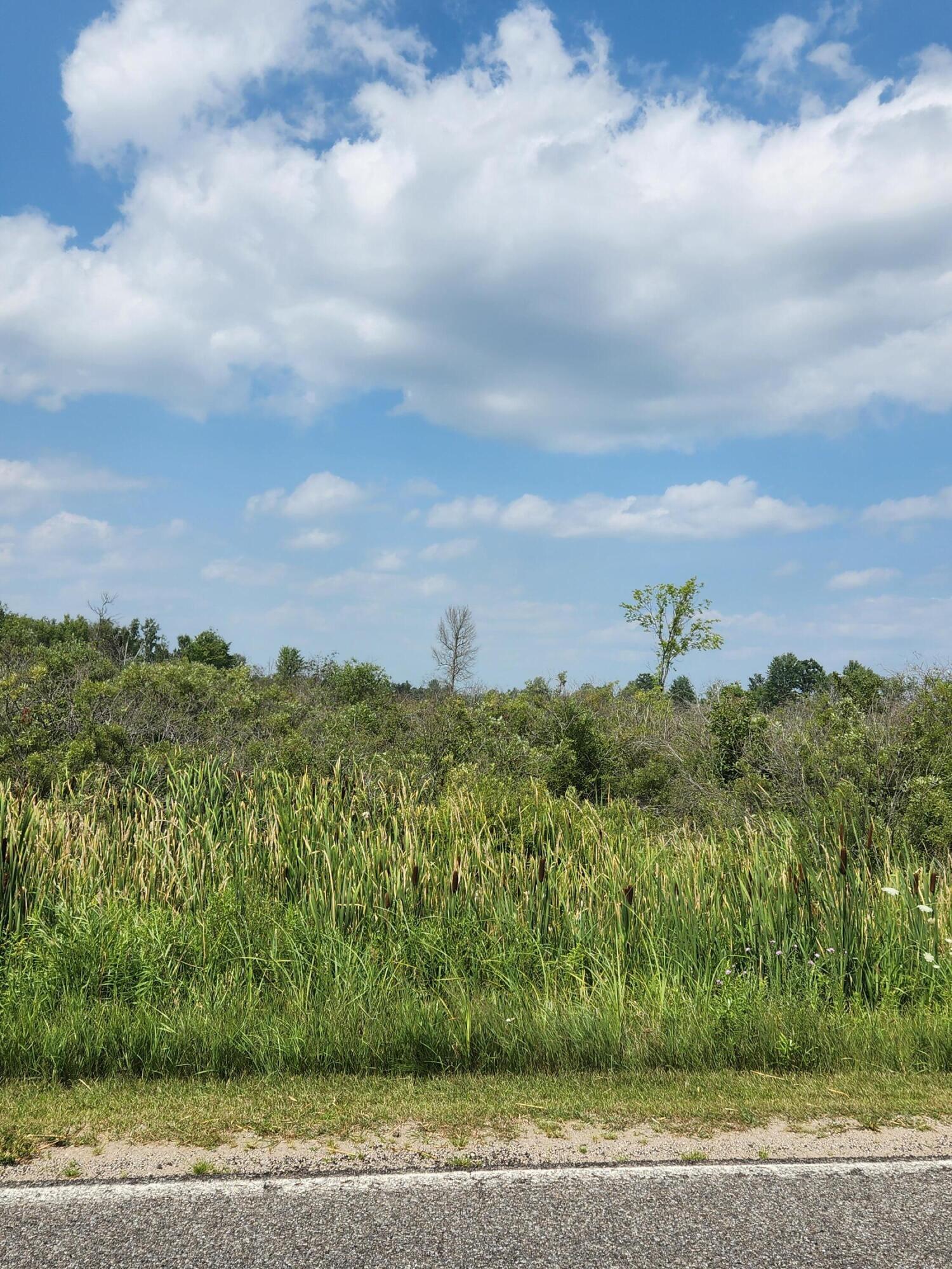 1 Sylvan Road Evart, MI 49631 - Photo 4 of 7 20230805_152651