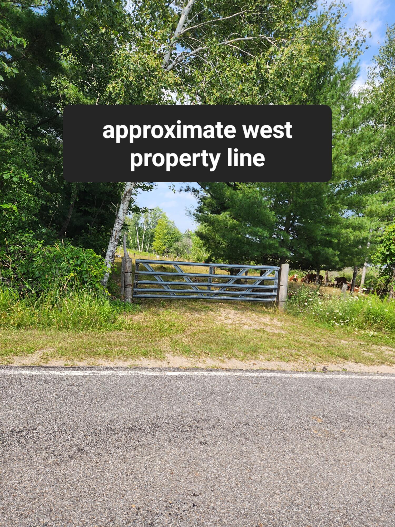 1 Sylvan Road Evart, MI 49631 - Photo 5 of 7 20230805_152625