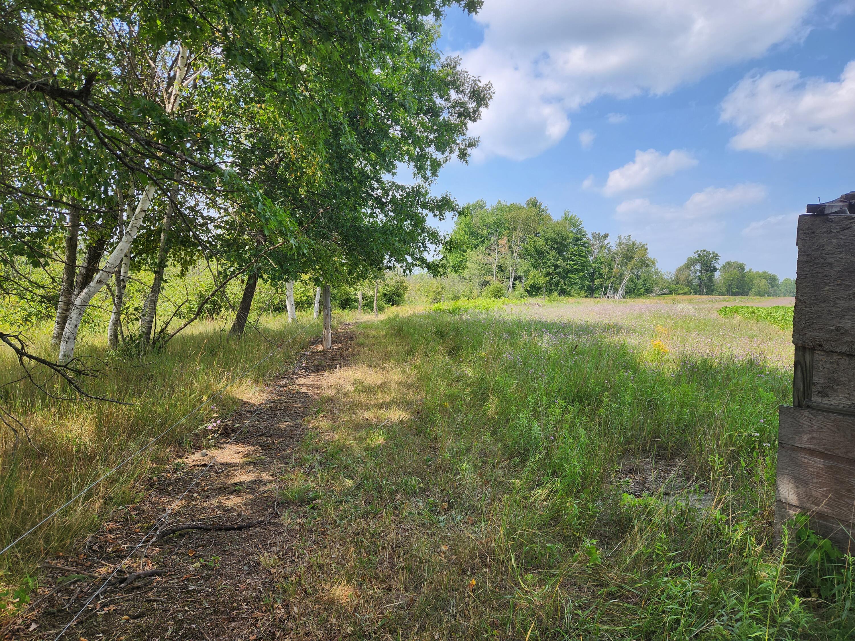 1 Sylvan Road Evart, MI 49631 - Photo 6 of 7 20230805_151913
