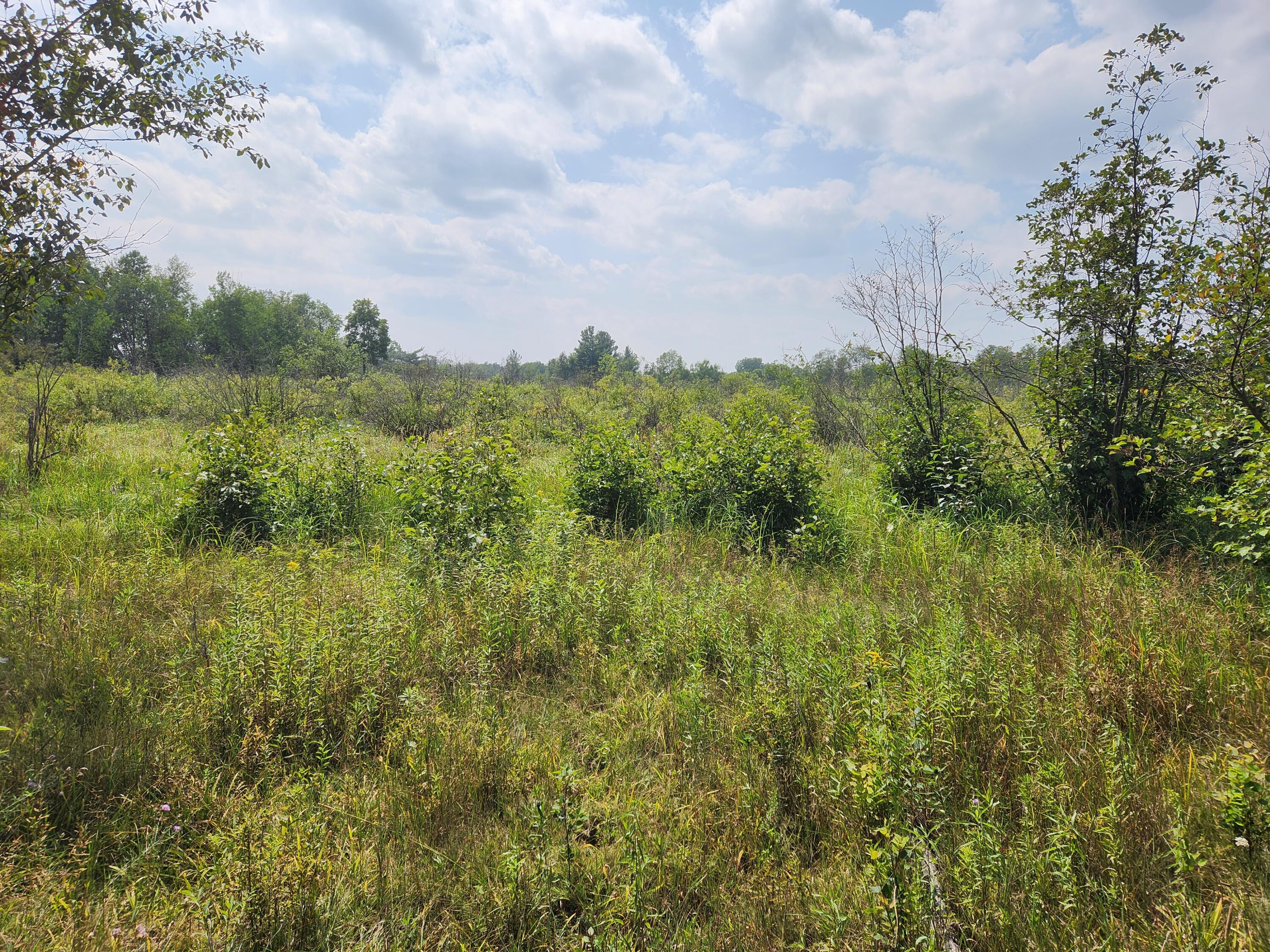 1 Sylvan Road Evart, MI 49631 - Photo 7 of 7 20230805_151847