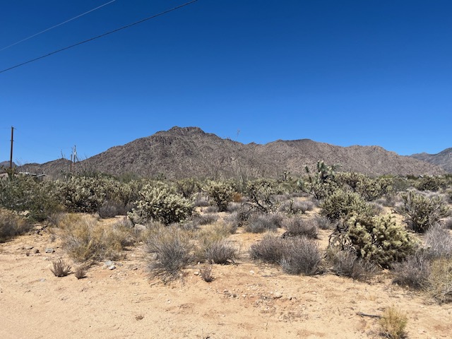 11108 Alvis Road Yucca, AZ 86438 - Photo 1 of 20