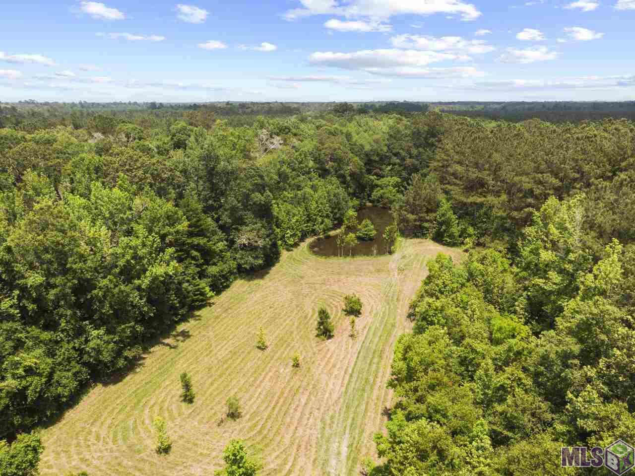 32342 Weiss Road Walker, LA 70785 - Photo 20 of 23