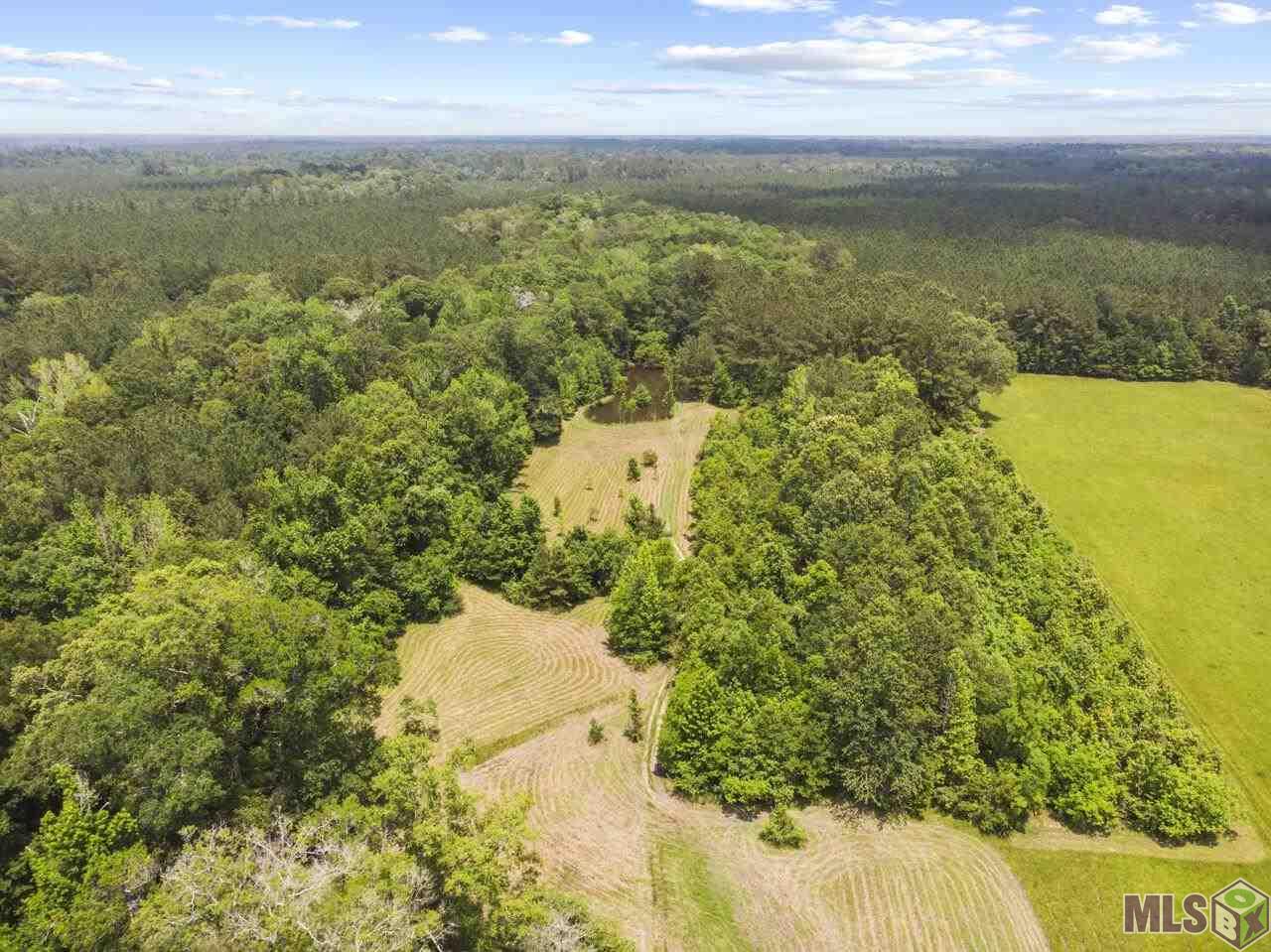 32342 Weiss Road Walker, LA 70785 - Photo 22 of 23