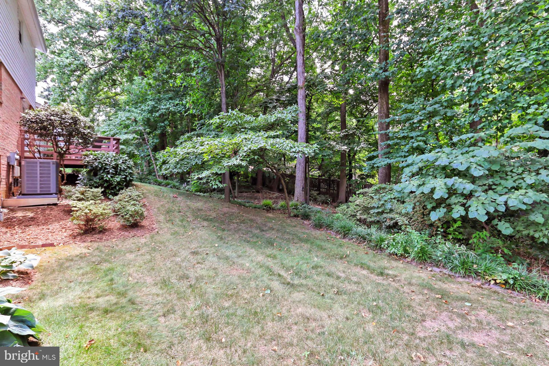 6808 Sydenstricker Road Springfield, VA 22153 - Photo 50 of 65 Rear yard