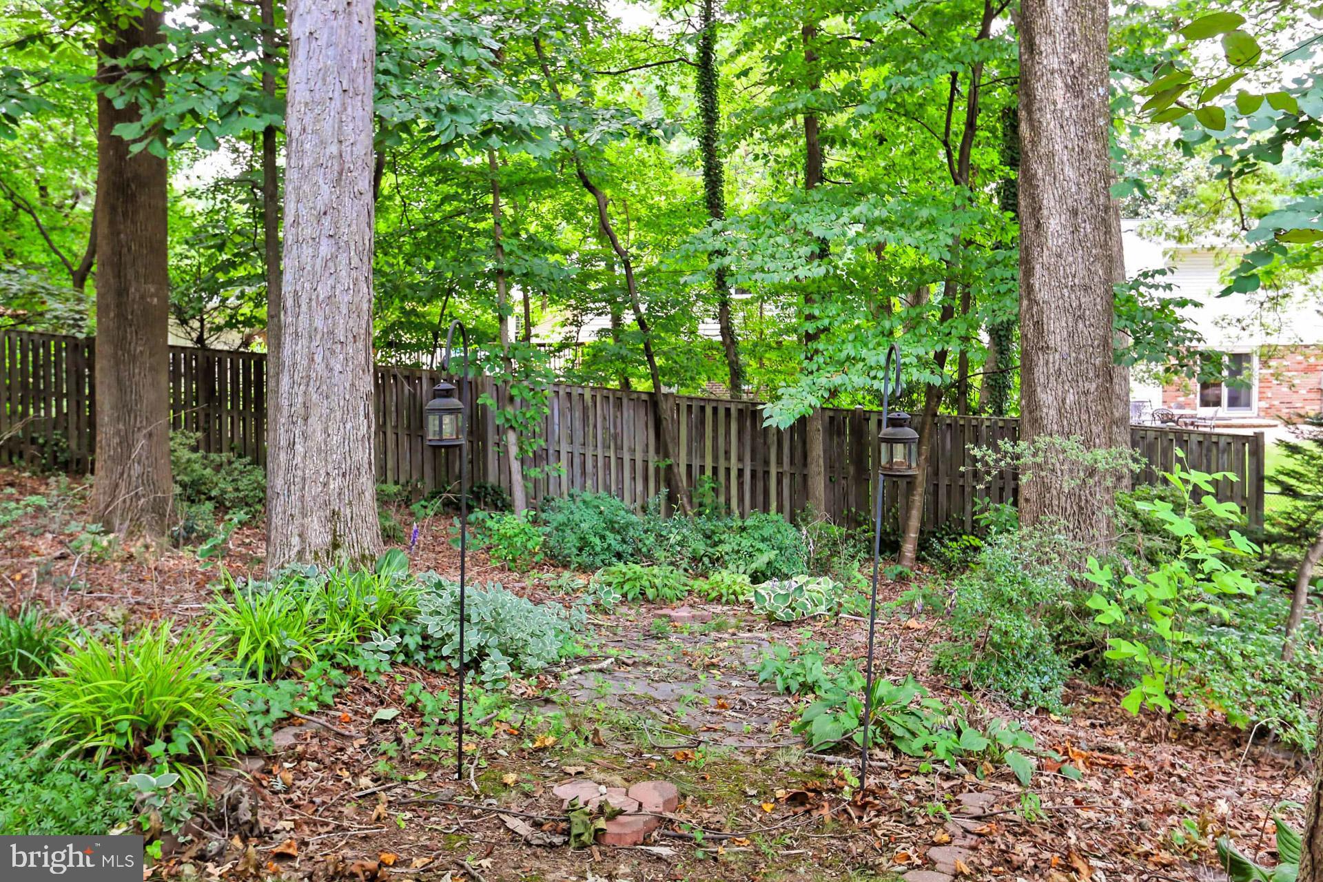 6808 Sydenstricker Road Springfield, VA 22153 - Photo 52 of 65 Rear yard