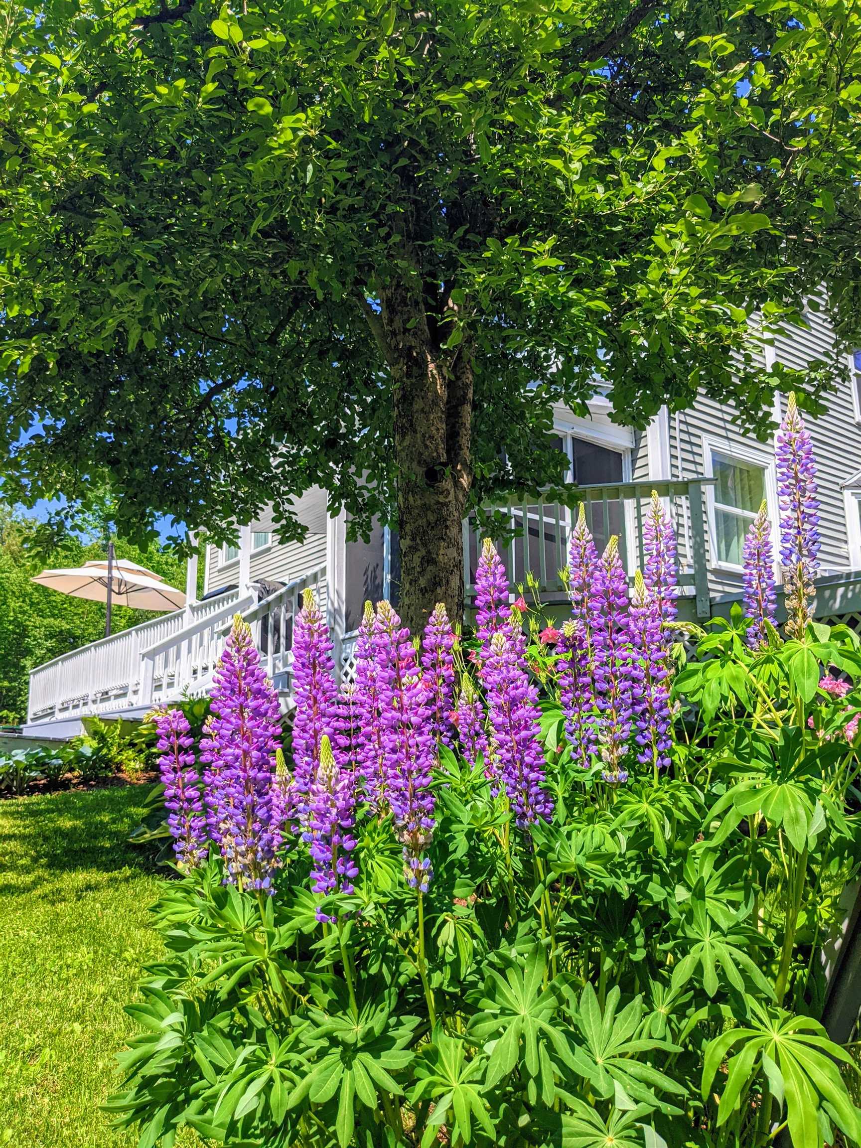 577 Highway 129 Loudon, NH 03307 - Photo 10 of 40 Gallery Image 10