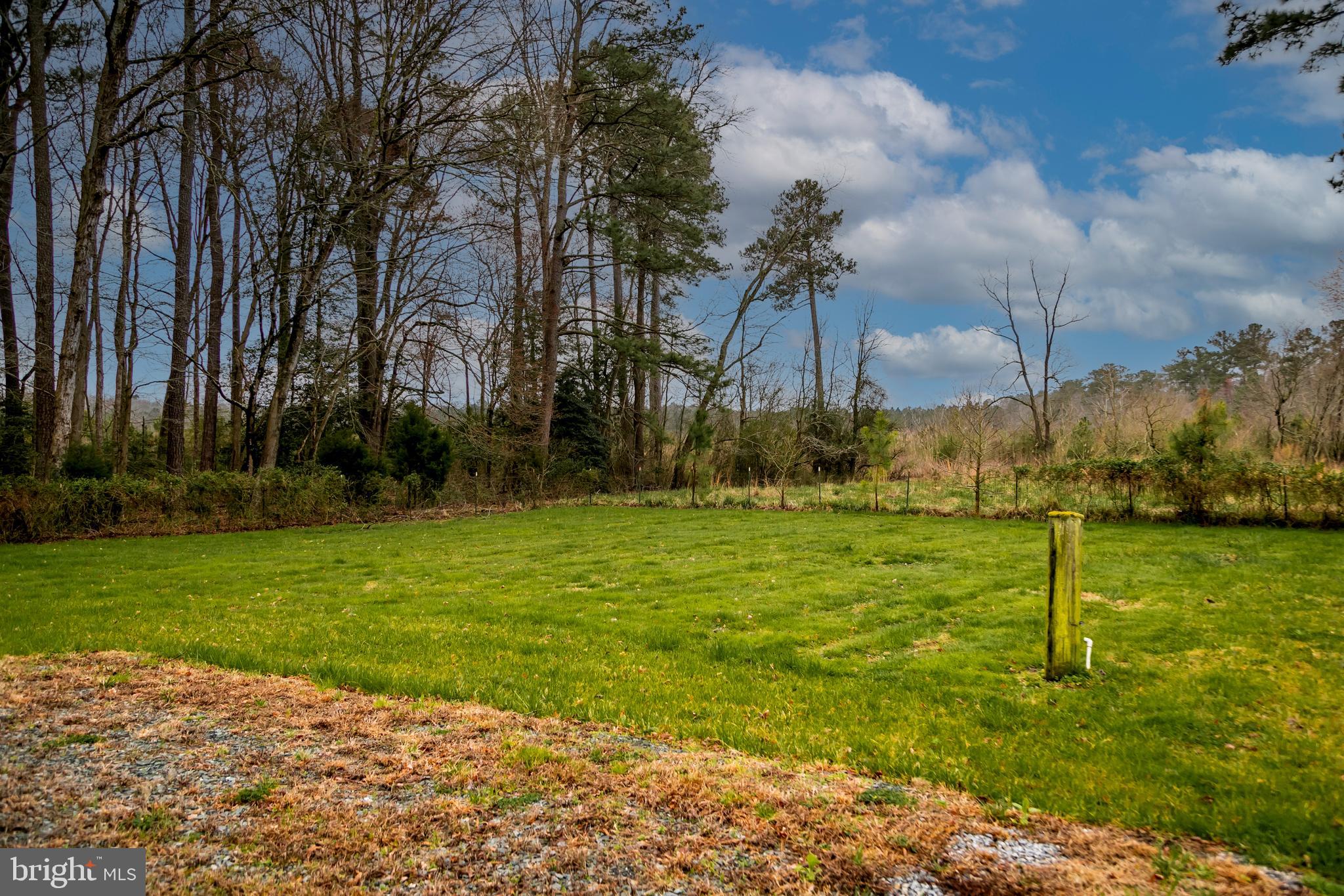 7827 Brown Road Parsonsburg, MD 21849 - Photo 16 of 18 Gallery Image 16