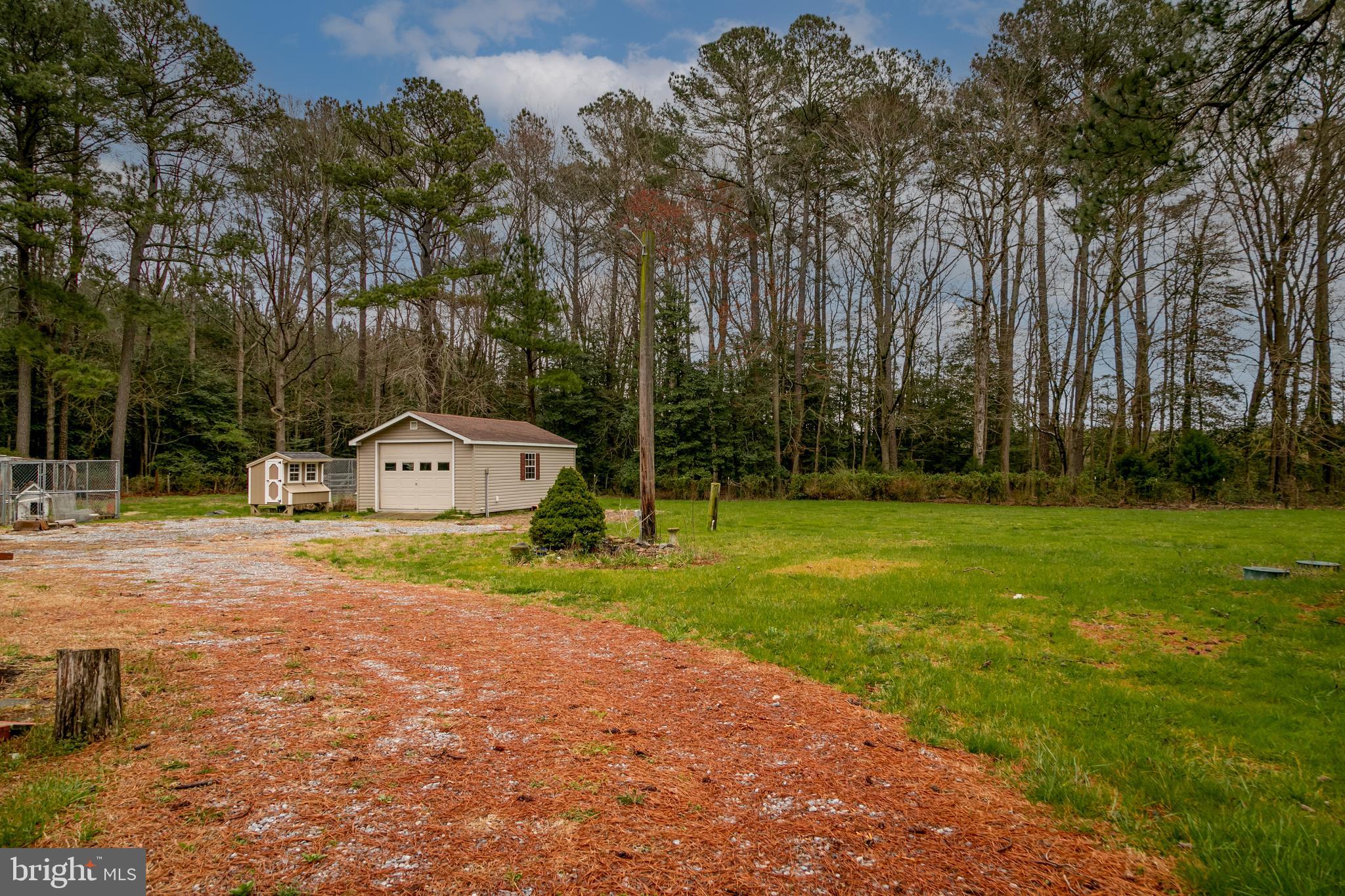 7827 Brown Road Parsonsburg, MD 21849 - Photo 17 of 18 Gallery Image 17