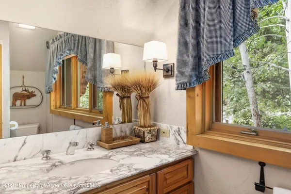 a view of bushes and pathway