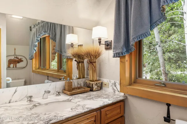 a view of bushes and pathway