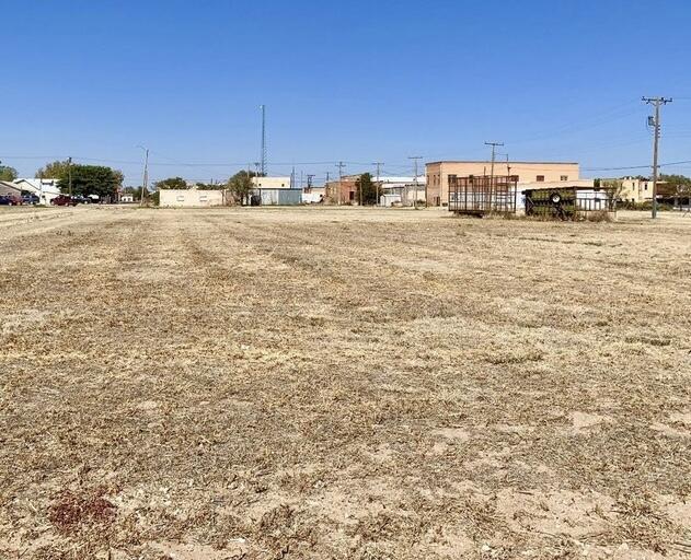 600 Ave G Ralls, TX 79357 - Photo 2 of 2 IMG_6381