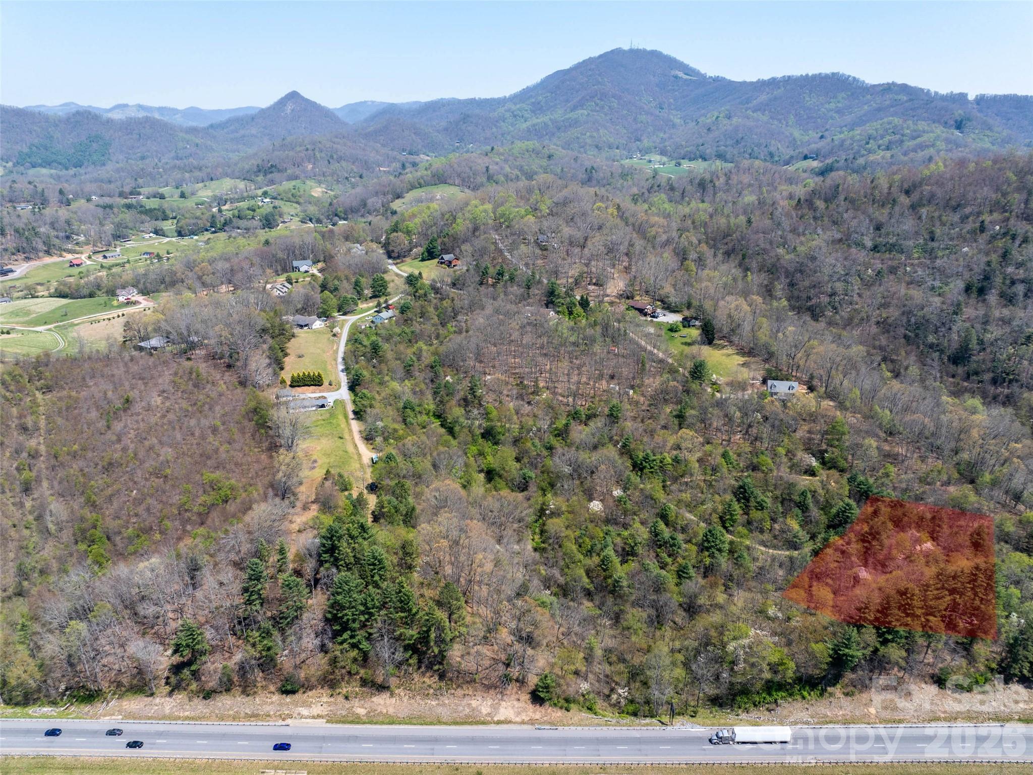 a view of a forest with mountains in the background